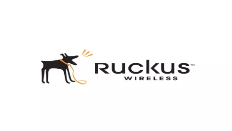 Strong Q2 for Ruckus Wireless