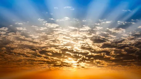 “Quiet revolution” underway as cloud-based firm 'presents' itself to NZ…
