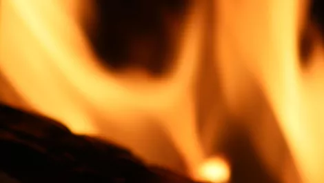 Can the Amazon smartphone burn Apple's market share?