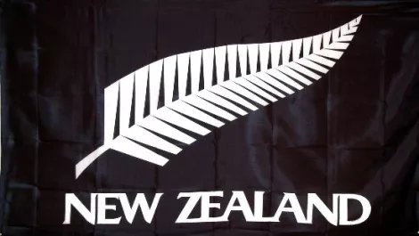 What got Kiwis talking in the NZ Channel market last year...