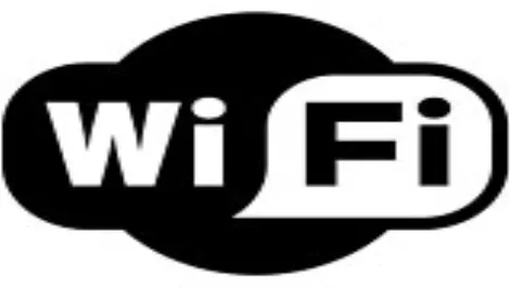 Kiwi businesses missing wi-fi boat