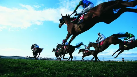 RaceBook - the app to back your favourite jockeys