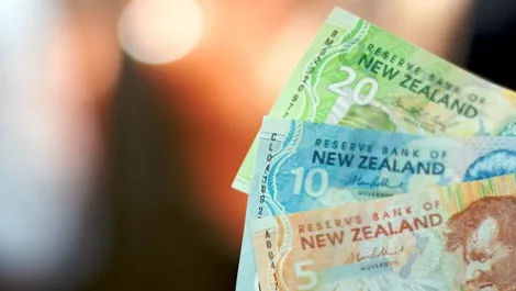 NZ dollar rises to new record vs euro, seen gaining further