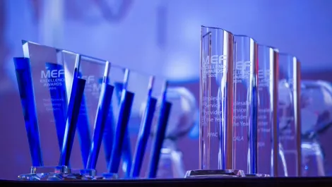 Winners of the MEF 2015 Excellence Awards