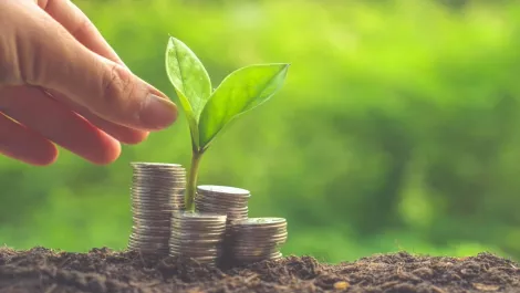 Kiwi cyber security firm raises $6.2m in Series A funding