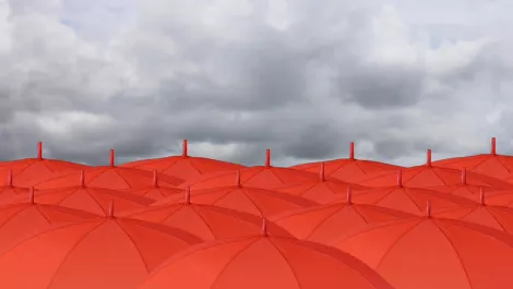 ManageEngine survey hints that IT is more involved in business & security decisions