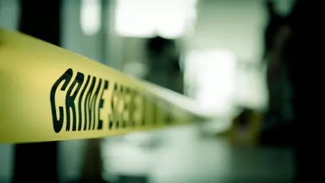 Gemalto's perspective: Hacking for the greater good