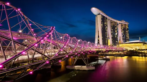Auckland tech risk management company expands to Singapore