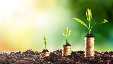 Web Werks launches new business hosting plans for small businesses