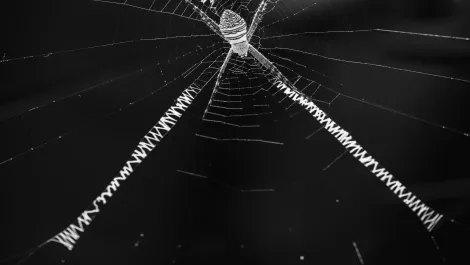 Interview: Sophos reveals the criminal underbelly of the dark web