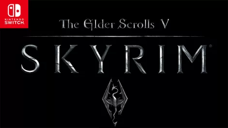 The Elder Scrolls V: Skyrim Switch review