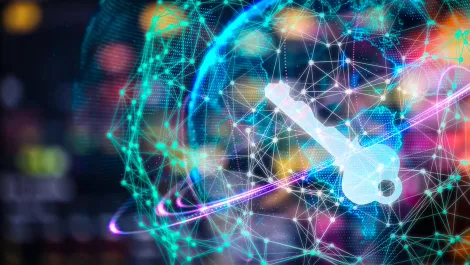 Wavelink expecting expansion of Fortinet security business in 2018