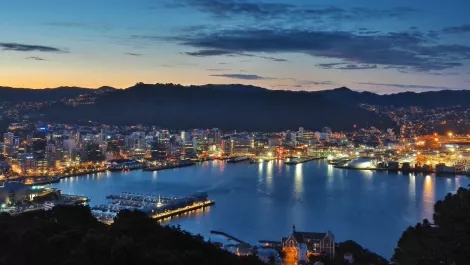 Wellington tech companies benefit from record levels of early-stage investment