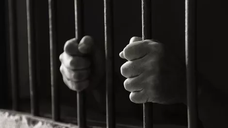 Operation Warenagent arrests 15 online fraudsters across Europe