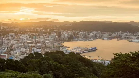 How Adobe aims to deliver marketing automation to Kiwi enterprises