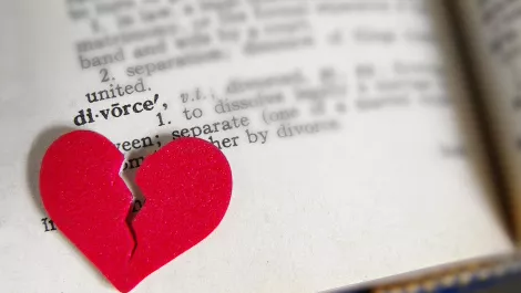 Dumped: Lenovo DCG gives Ingram Micro the cold shoulder