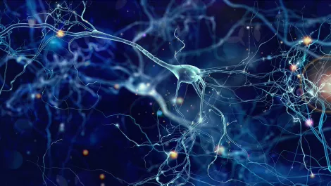 Inventec collaborates with AMD to provide deep learning solutions