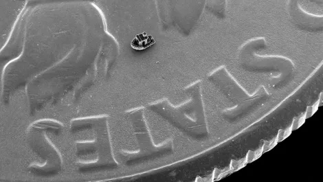 Micro 3D printing technology wins NZ engineering award