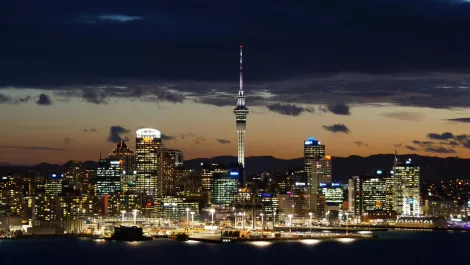 How 3 Kiwi firms joined forces on marketing in a time of crisis