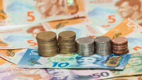 NZ tech exports to reach $16 billion before 2030