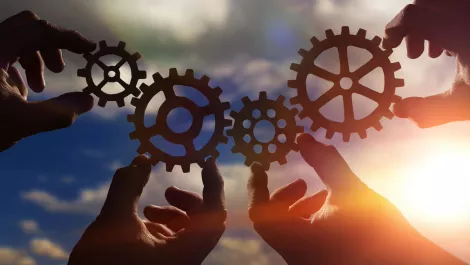 Wavelink launches revamped partner programme for ANZ partners