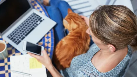 Adobe teams up with Go1 to offer corporate learning courses