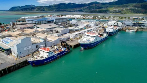 How a major NZ seafood company modernised operations across  land, ocean, and the cloud