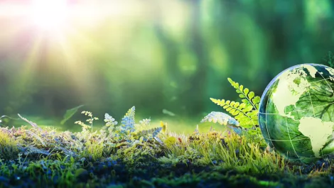 UQ collaborates on multi-million-dollar sustainable energy project
