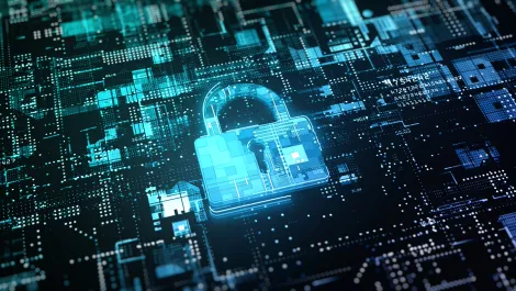 If you want to catch a thief, you need open security