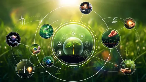 Logicalis gives CIOs real-time view over digital ecosystem, with focus on ESG
