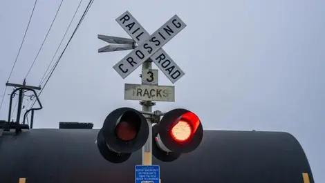 Train misses bus by metres