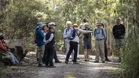 AI speeds up Tasmanian wildlife monitoring & conservation work